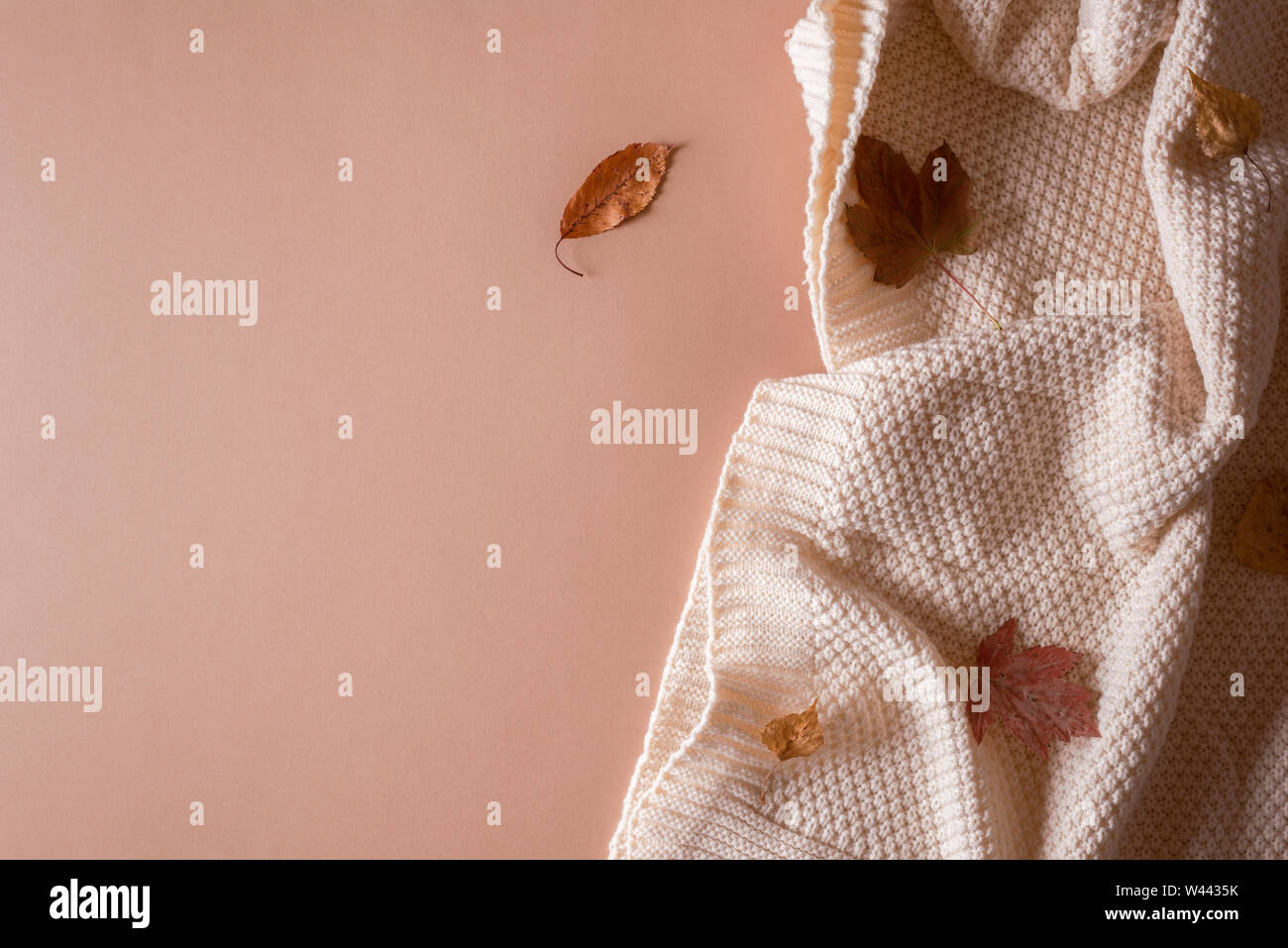 Herbst Gemütlichkeit Konzept, das eine warme Wolldecke und gefallenen Blätter im Herbst. Bereit für den Herbst flachbild Hintergrund legen. Licht coral Herbst Rahmen. Stockfoto