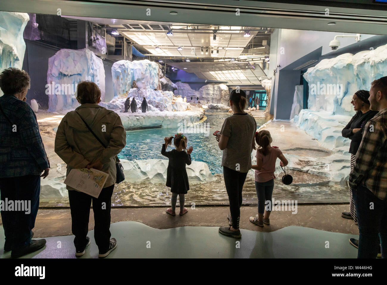 Detroit, Michigan - Besucher beobachten Pinguine am Polk Penguin Conservation Centre auf der Detroit Zoo. Stockfoto