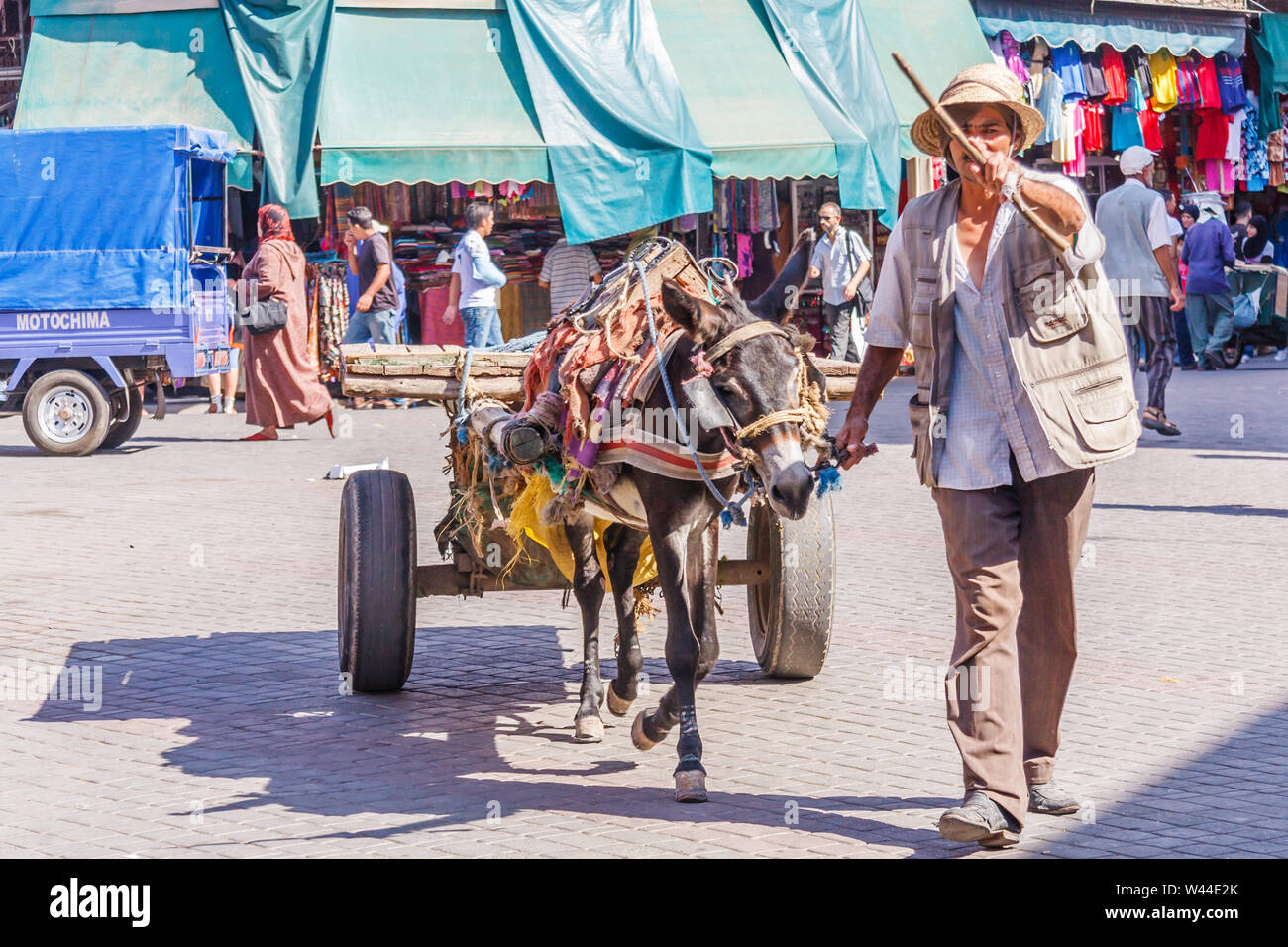 Marrakesch, Marokko - 7. September 2010: Mann mit Esel und den Warenkorb. Traditionelle Transportmittel werden immer noch benutzt. Stockfoto