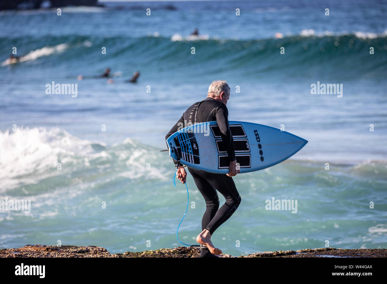 Graue Haare Mann mittleren Alters in einem Neoprenanzug Carrie dieses Surfboard auf dem Meer surfen, Sydney, Australien Stockfoto