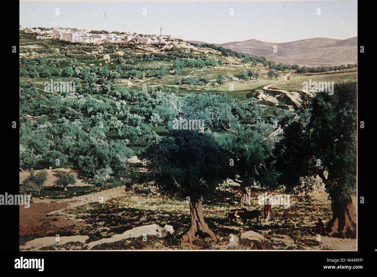 Farbe FOTO DES GALILÄISCHEN Landschaft im späten 19. Jahrhundert von französischen Fotografen, BONFILS. Das Dorf GEZEIGT WIRD, IST WAHRSCHEINLICH DAS DORF VON SAFED. 7A 679979 C 79579 D 7A 67917 A 27957 A0799 79E 7A 17957 ein 0057. Stockfoto