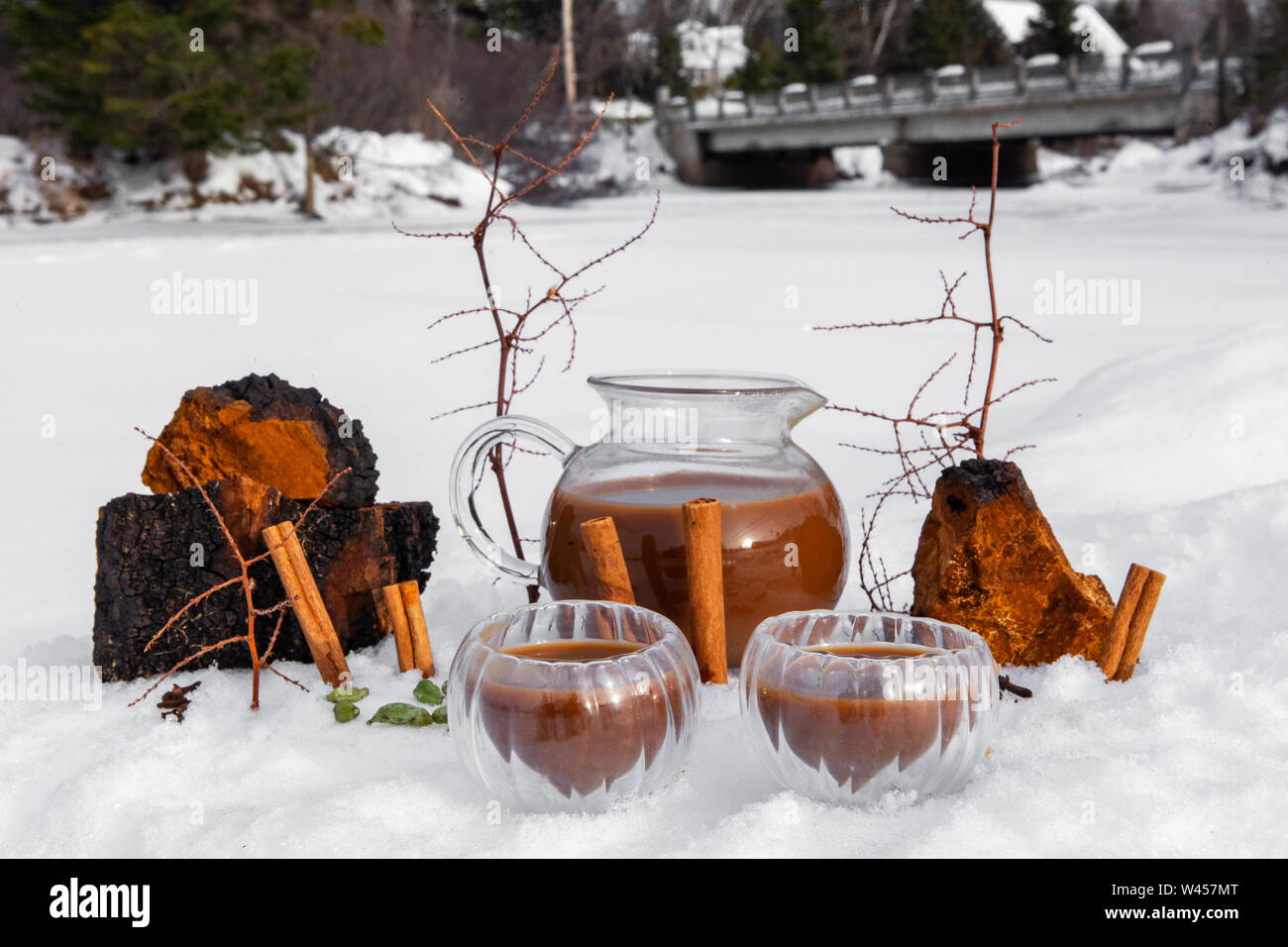 Eine Erwärmung brauen von chaga Chai Tee ist im Vordergrund gesehen, mit Chaga Pilze in Kanada und Sibirien, ein traditionelles Getränk in kaltem Klima genossen gefunden Stockfoto