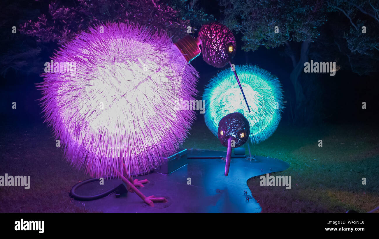 SYDNEY, AUSTRALIEN - Juni 5, 2017: Kiwi in Sydney für die vivid Festival im Jahr 2017 Stockfoto