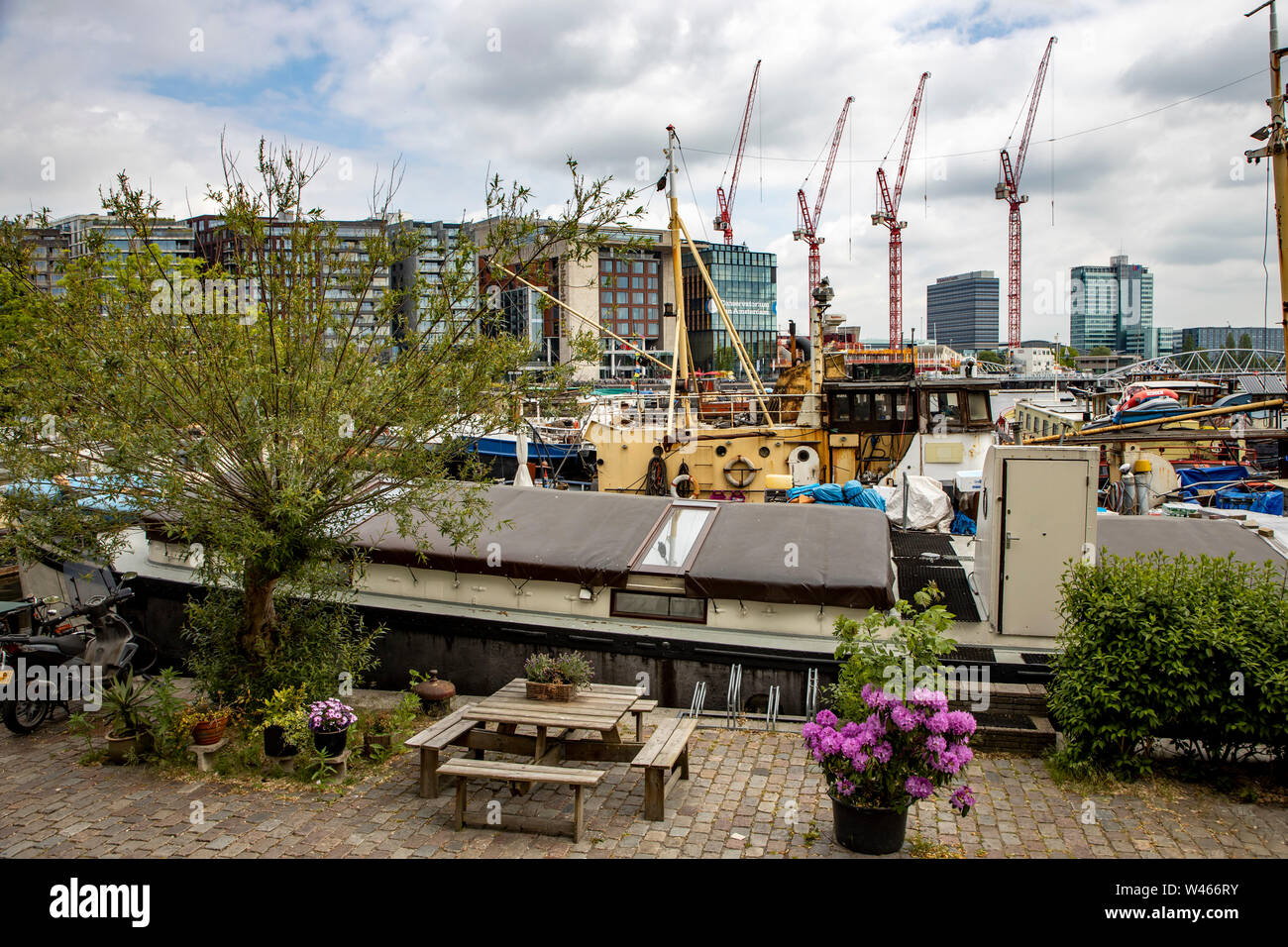 Amsterdam, Niederlande, chinesisches Restaurant Schiff, Sea Palace, an der Oosterdokskade, Stockfoto