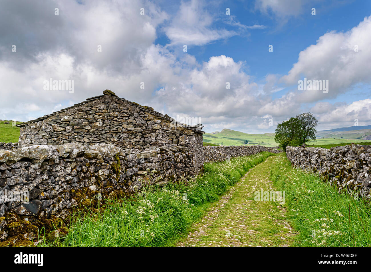 Ein typischer Yorkshire Dales Green Lane auf der Bühne eine der Wainwright Pennine Reise von zu Horton Settle-in-Ribblesdale Stockfoto