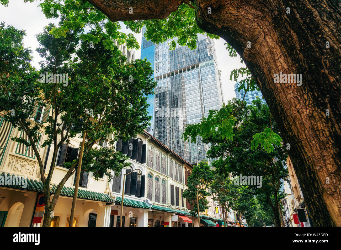 Grüne Bäume auf der Straße mit alten Gebäuden aus der Kolonialzeit gegen moderne Glasarchitektur in Singapur Stockfoto