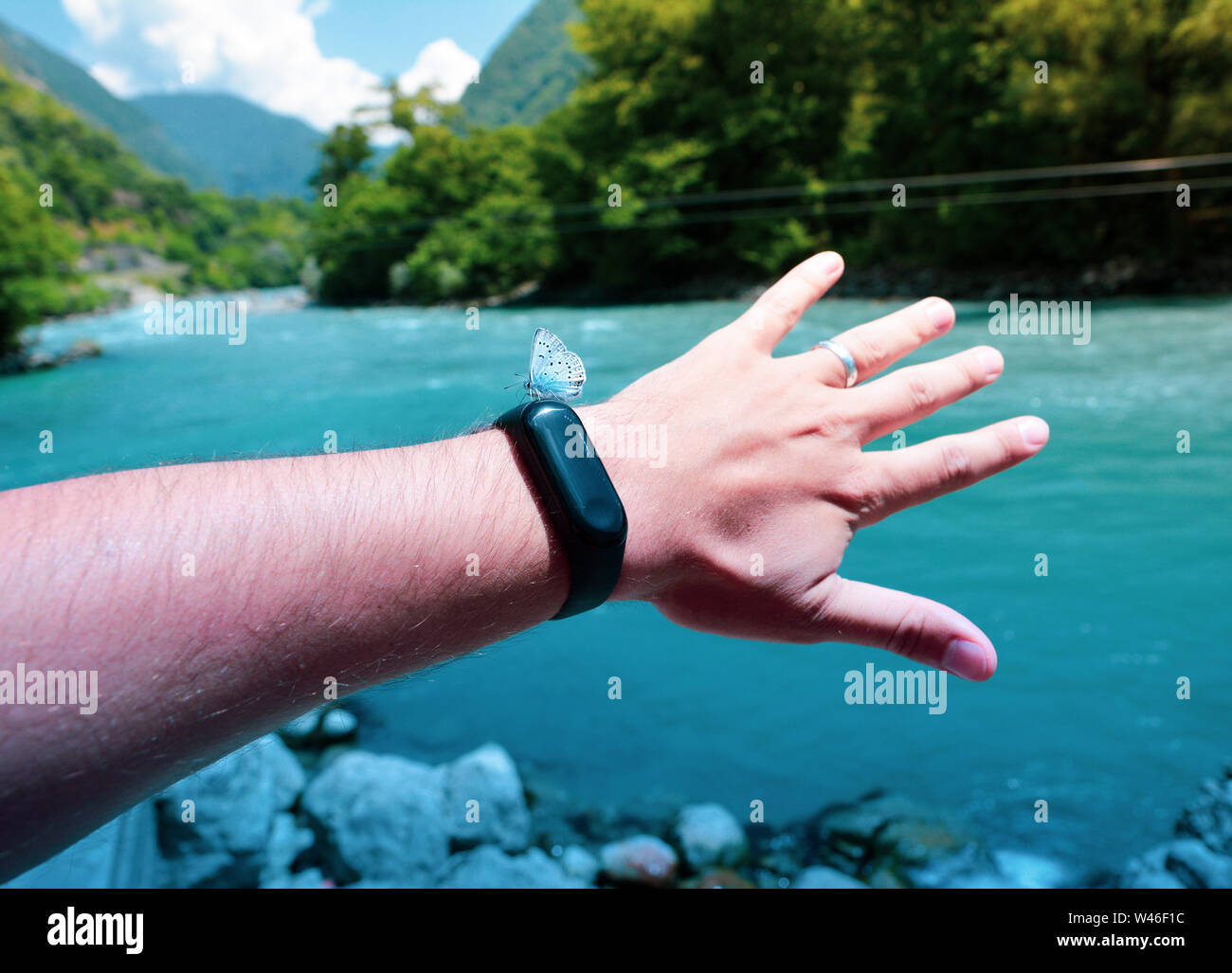 Schöner Schmetterling auf der Smart watch auf der Hand vor dem Hintergrund der Fluss und die grüne Natur. Stockfoto