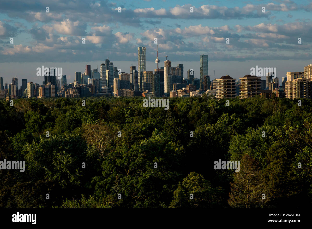 Die Toronto Skyline von oben Mount Pleasant Friedhof in Toronto, Ontario, Kanada gesehen Stockfoto