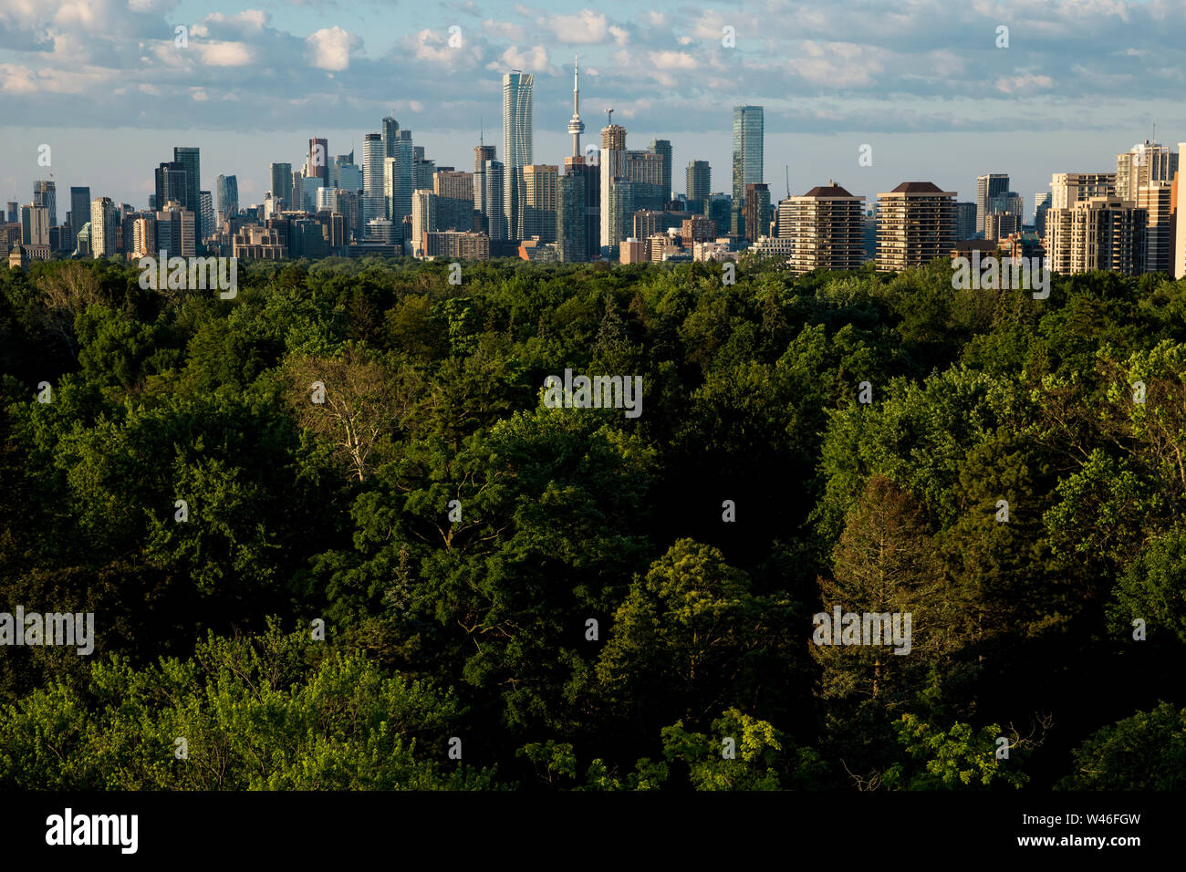 Die Toronto Skyline von oben Mount Pleasant Friedhof in Toronto, Ontario, Kanada gesehen Stockfoto