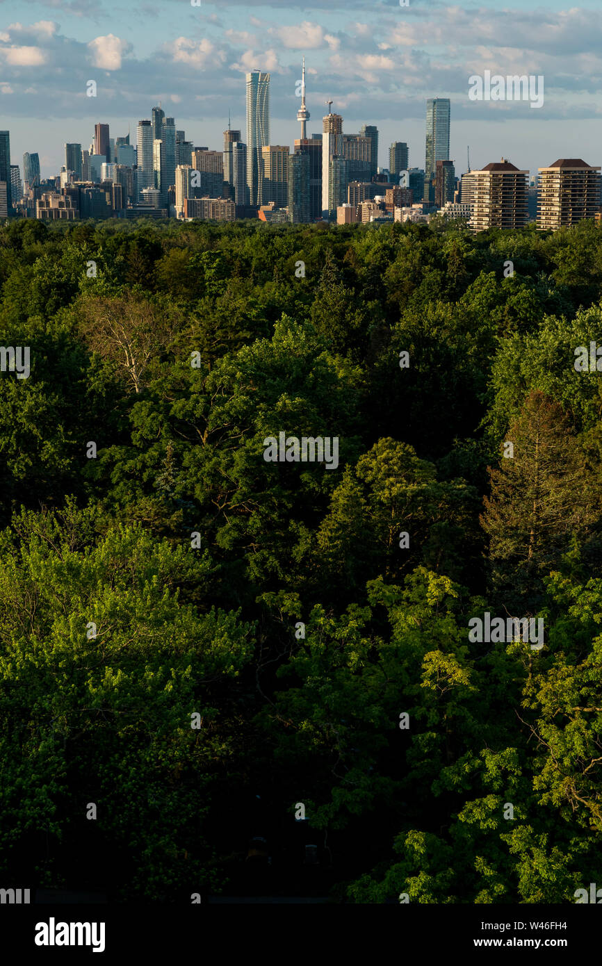 Die Toronto Skyline von oben Mount Pleasant Friedhof in Toronto, Ontario, Kanada gesehen Stockfoto