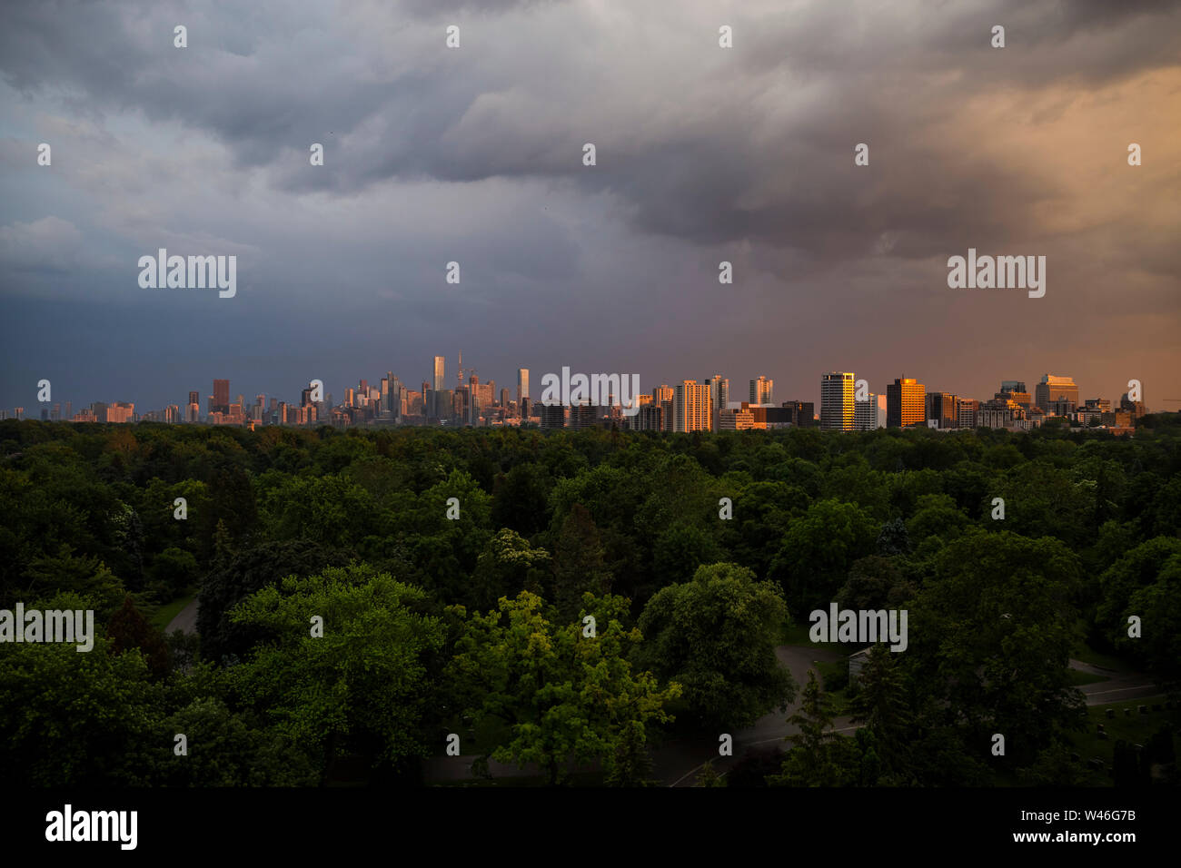 Die Innenstadt von Toronto Skyline über Mount Pleasant Friedhof bei Sonnenuntergang in Toronto, Ontario, Kanada gesehen Stockfoto