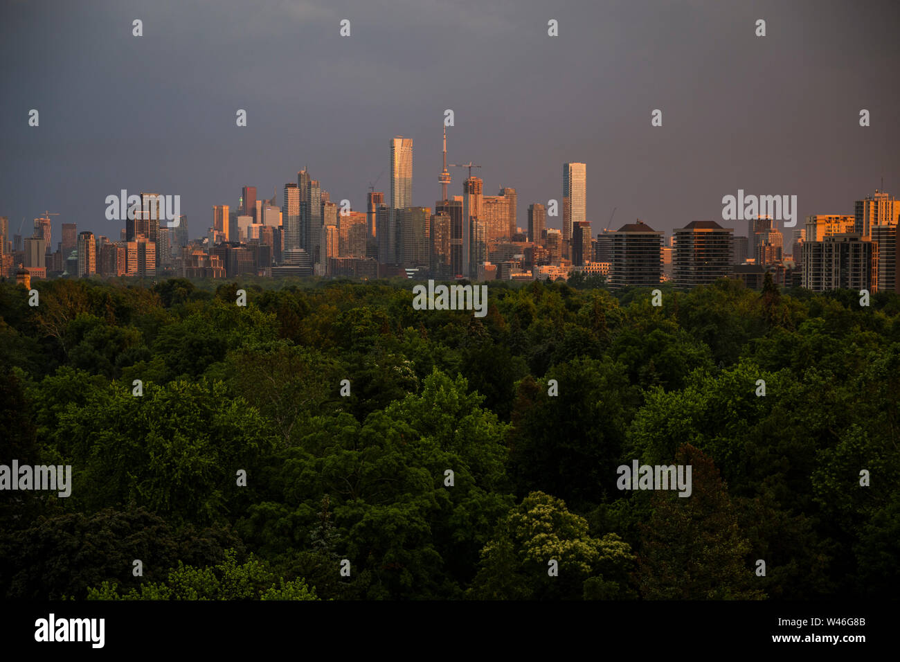Die Innenstadt von Toronto Skyline über Mount Pleasant Friedhof bei Sonnenuntergang in Toronto, Ontario, Kanada gesehen Stockfoto