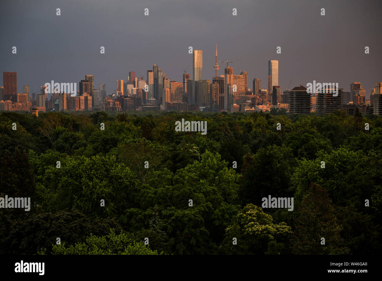 Die Innenstadt von Toronto Skyline über Mount Pleasant Friedhof bei Sonnenuntergang in Toronto, Ontario, Kanada gesehen Stockfoto