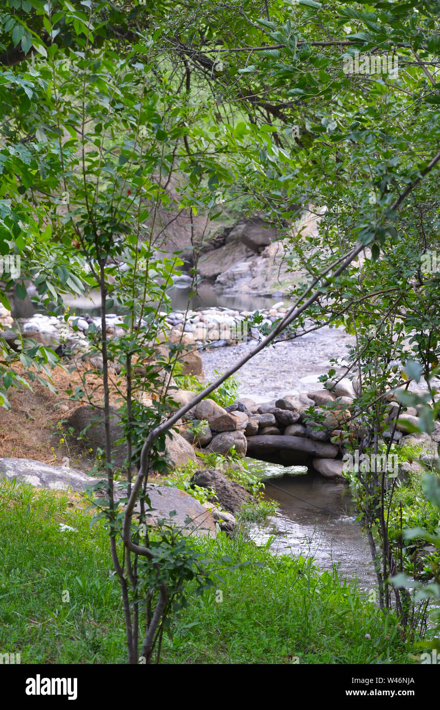 Wälder und Bäume Obstgärten in der Nuratau Berge, Usbekistan Stockfoto