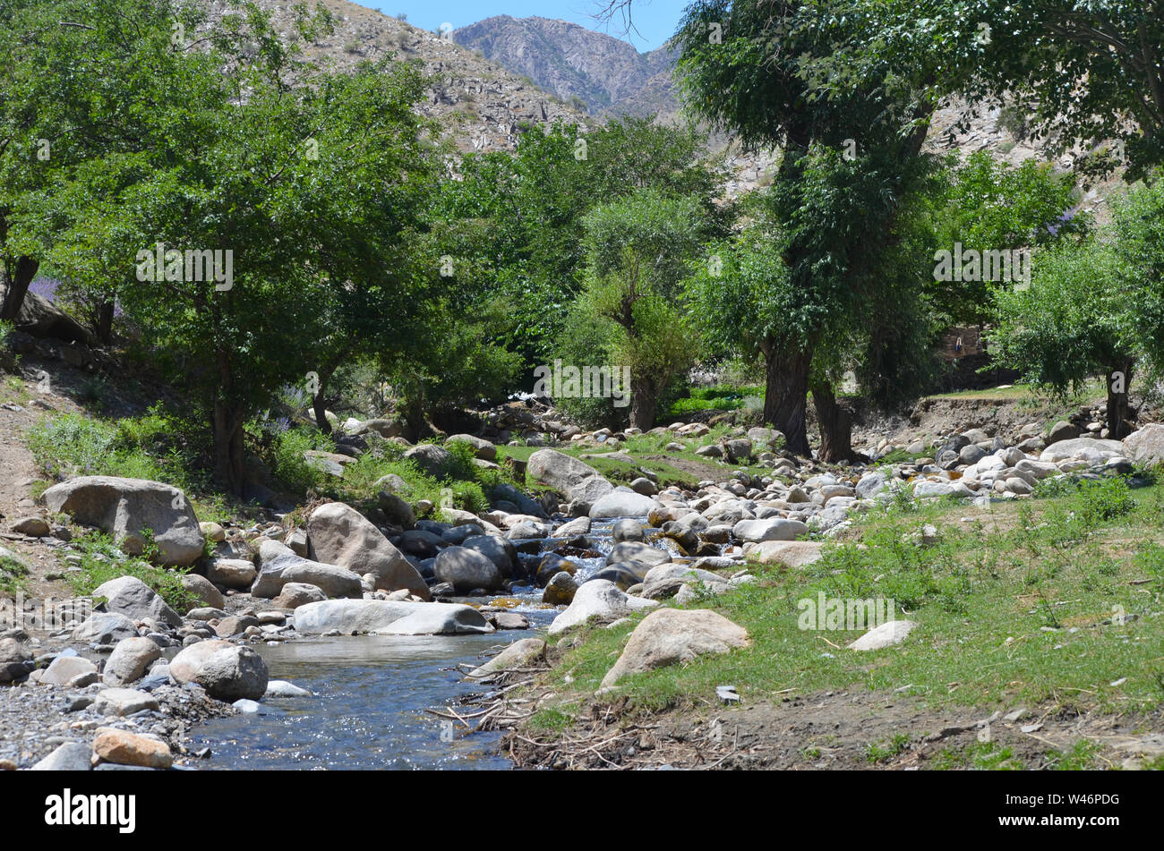 Riverine Wälder und Obstbäumen Obstgärten in der Nuratau Berge, Usbekistan Stockfoto