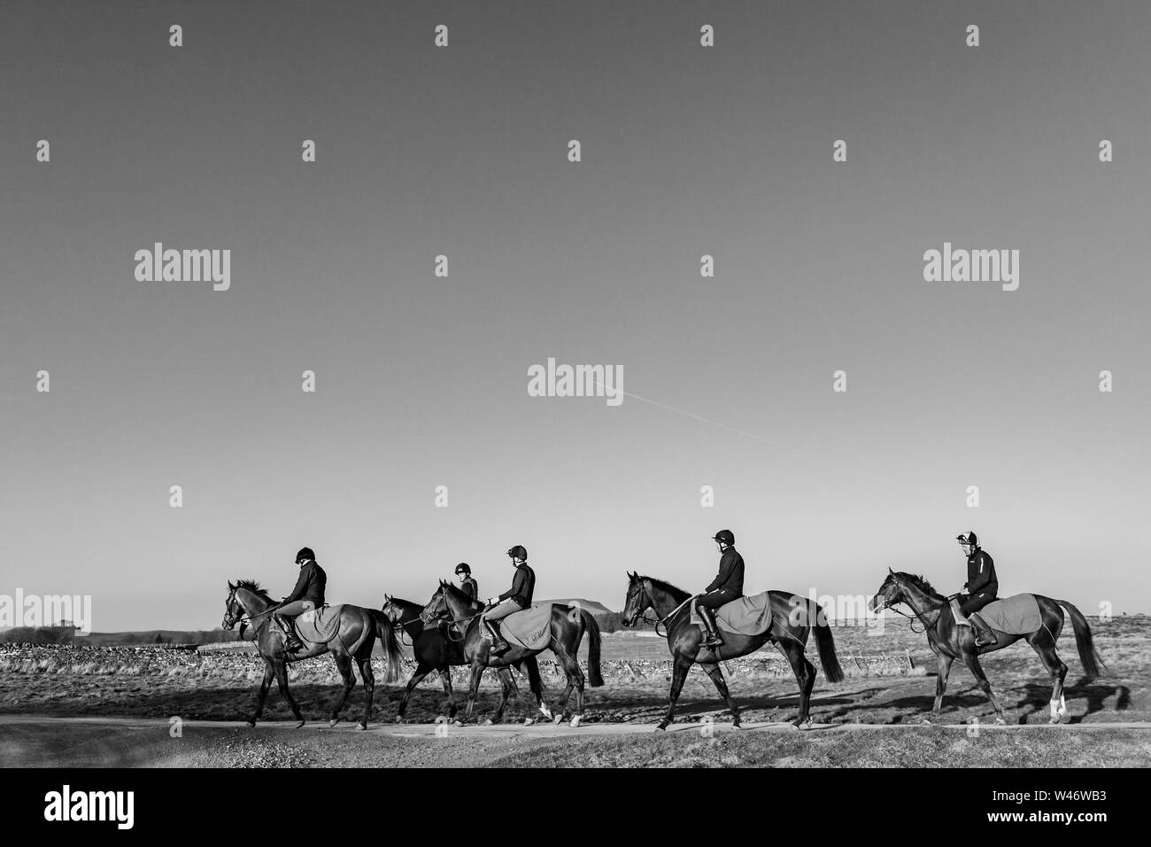 Jockeys übung Rennen Pferde auf Middleham galoppiert in North Yorkshire Stockfoto