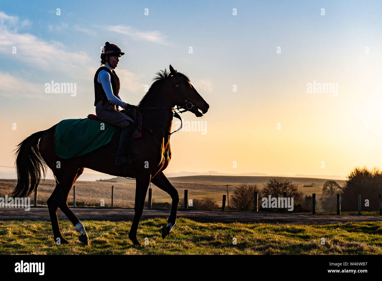Jockeys übung Rennen Pferde auf Middleham galoppiert in North Yorkshire Stockfoto