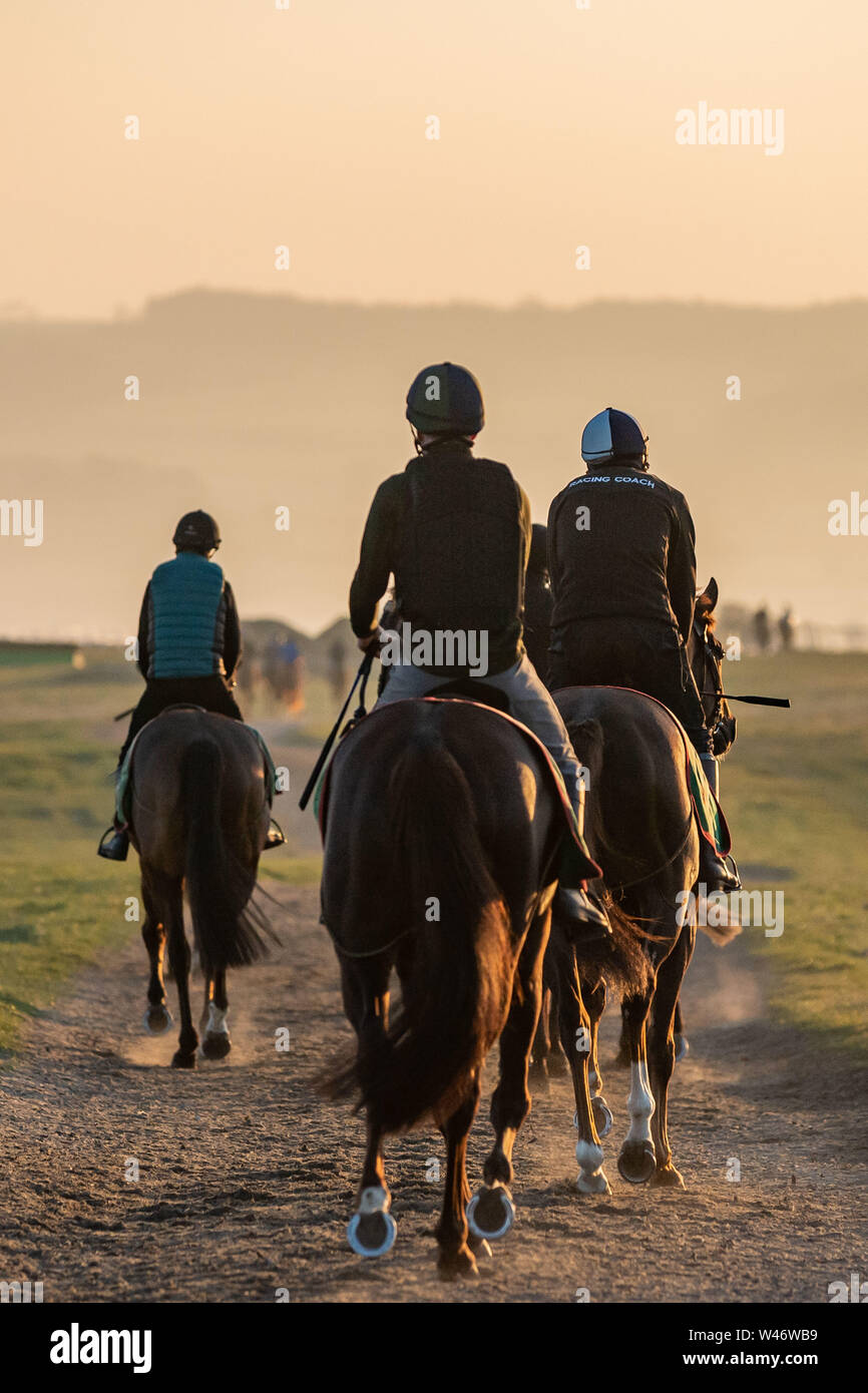 Jockeys übung Rennen Pferde auf Middleham galoppiert in North Yorkshire Stockfoto