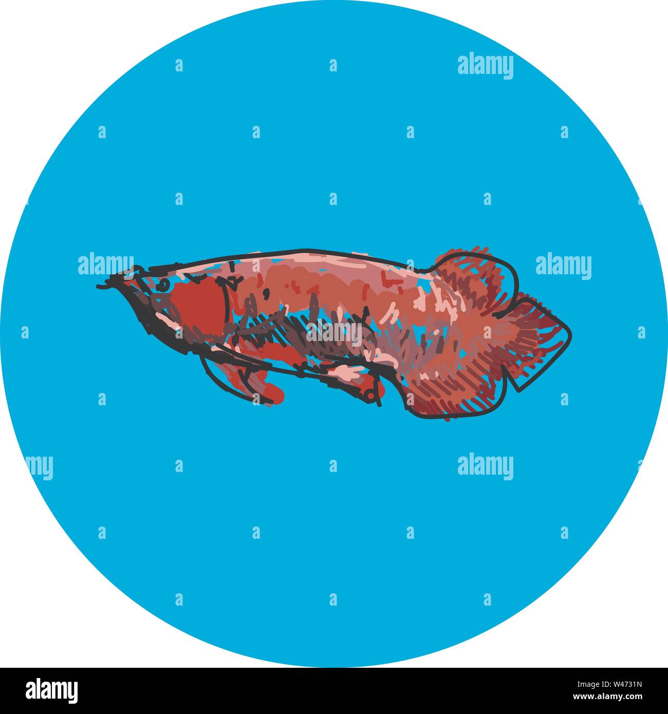 Arowana Fisch, Illustration, Vektor auf weißem Hintergrund. Stock Vektor