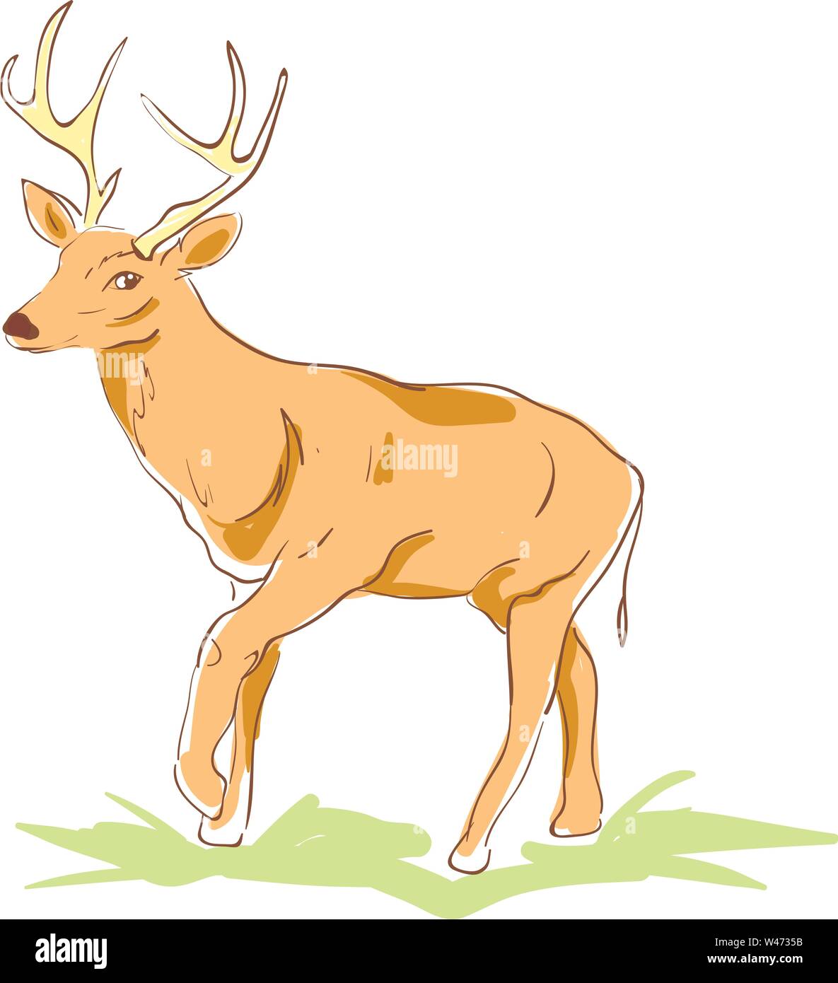 Schönen Hirsch, Illustration, Vektor auf weißem Hintergrund. Stock Vektor