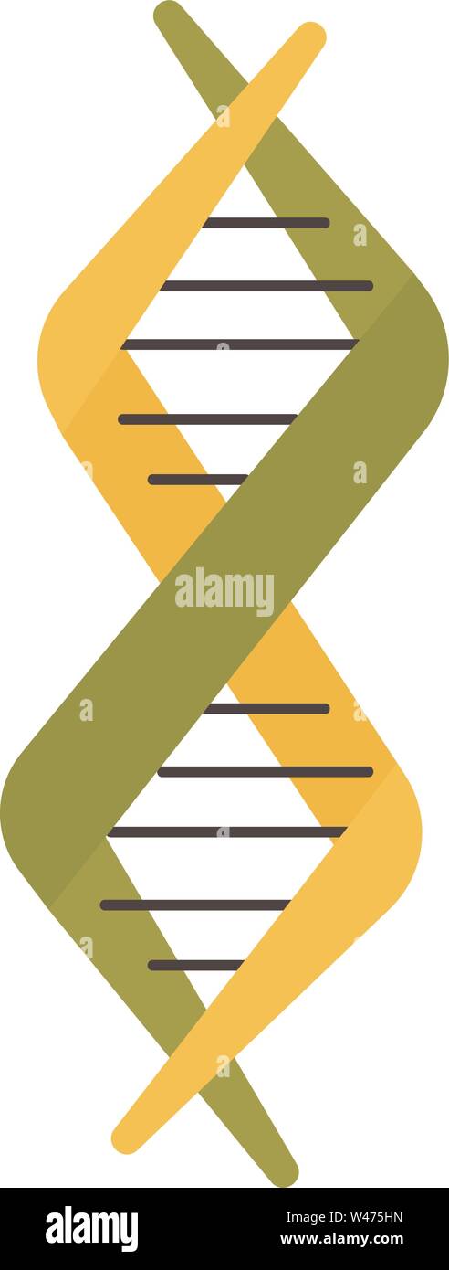 DNA, Illustration, Vektor auf weißem Hintergrund. Stock Vektor
