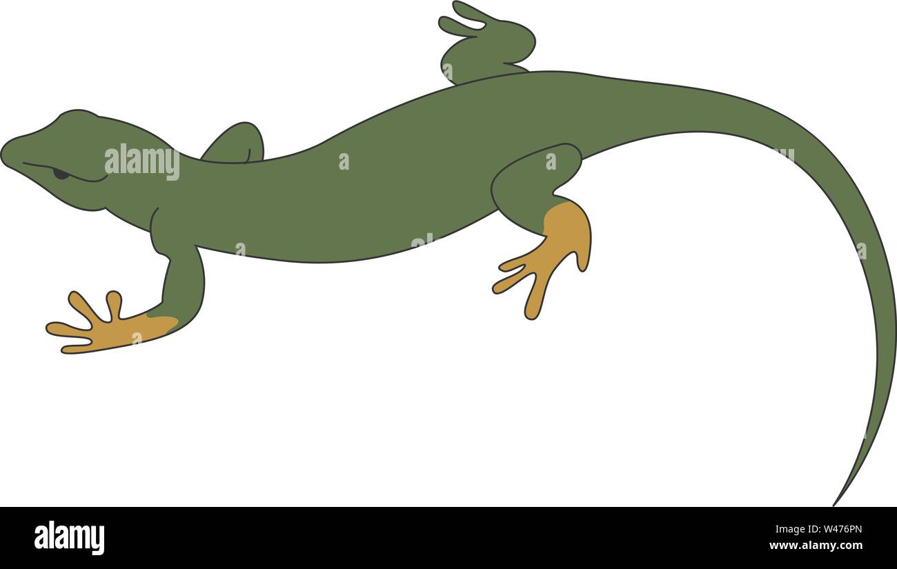 Grüne Eidechse, Illustration, Vektor auf weißem Hintergrund. Stock Vektor