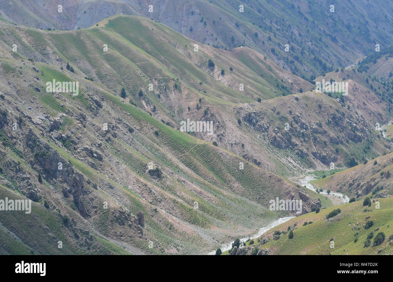 Aufstieg einer größeren Ugam-Chatkal Chingam Peak National Park, Usbekistan Stockfoto