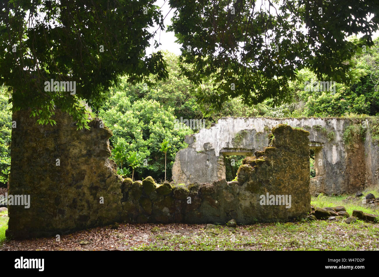 König Kamehaeha III Sommer Palast, Hawaii heiligen Ruinen Stockfoto