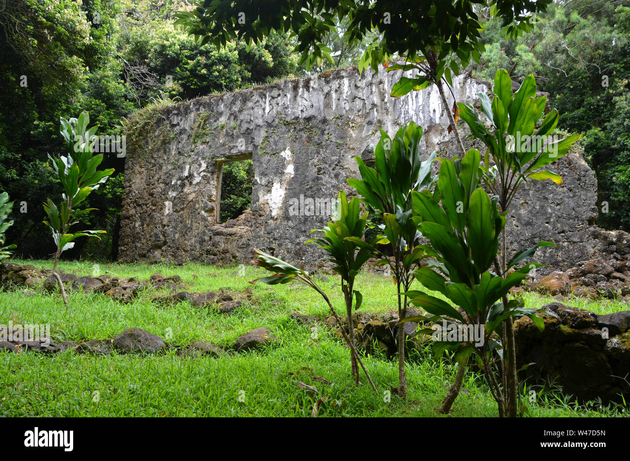 König Kamehaeha III Sommer Palast, Hawaii heiligen Ruinen Stockfoto