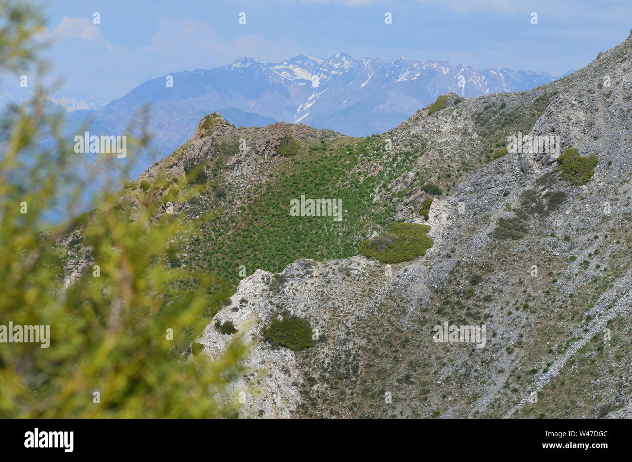 Aufstieg einer größeren Ugam-Chatkal Chingam Peak National Park, Usbekistan Stockfoto