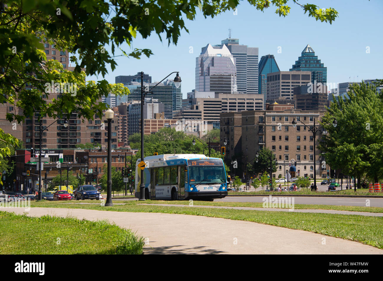 Montreal, Kanada - 7. Juli 2019: STM Öffentliche Verkehrsmittel Bus auf die Park Avenue. Stockfoto