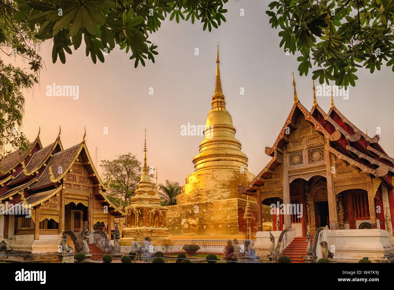 Wat Phra Singh in Chiang Mai bei Sonnenuntergang, Thailand. Stockfoto