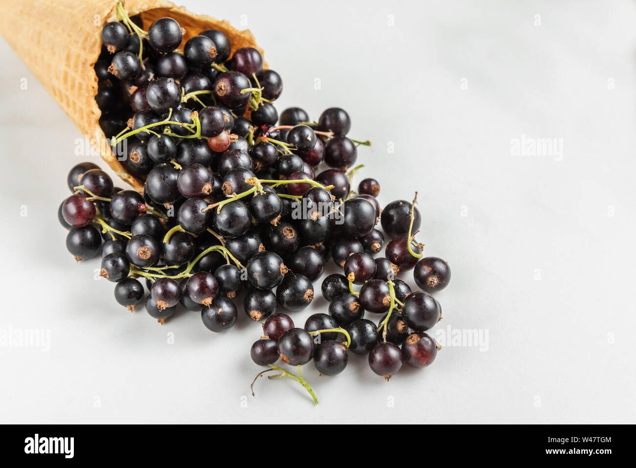 Schwarze Johannisbeere Beeren in der Waffel Eiswaffel auf weißem Hintergrund. Kreative Sommer essen Konzept. Nach oben Schließen Stockfoto