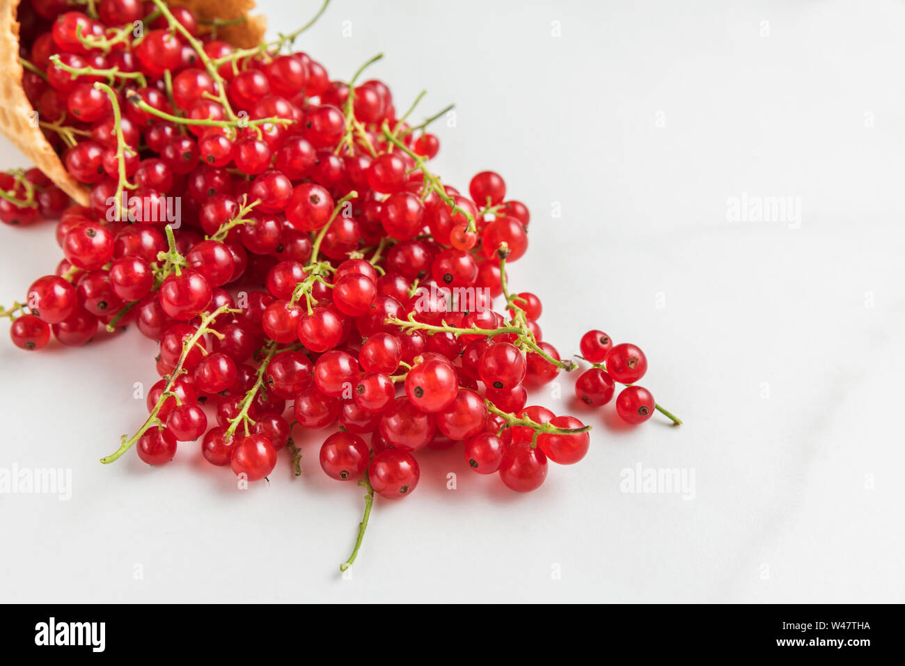 Rote Johannisbeere Beeren in der Waffel Eiswaffel auf weißem Hintergrund. Kreative Sommer essen Konzept. Nach oben Schließen Stockfoto