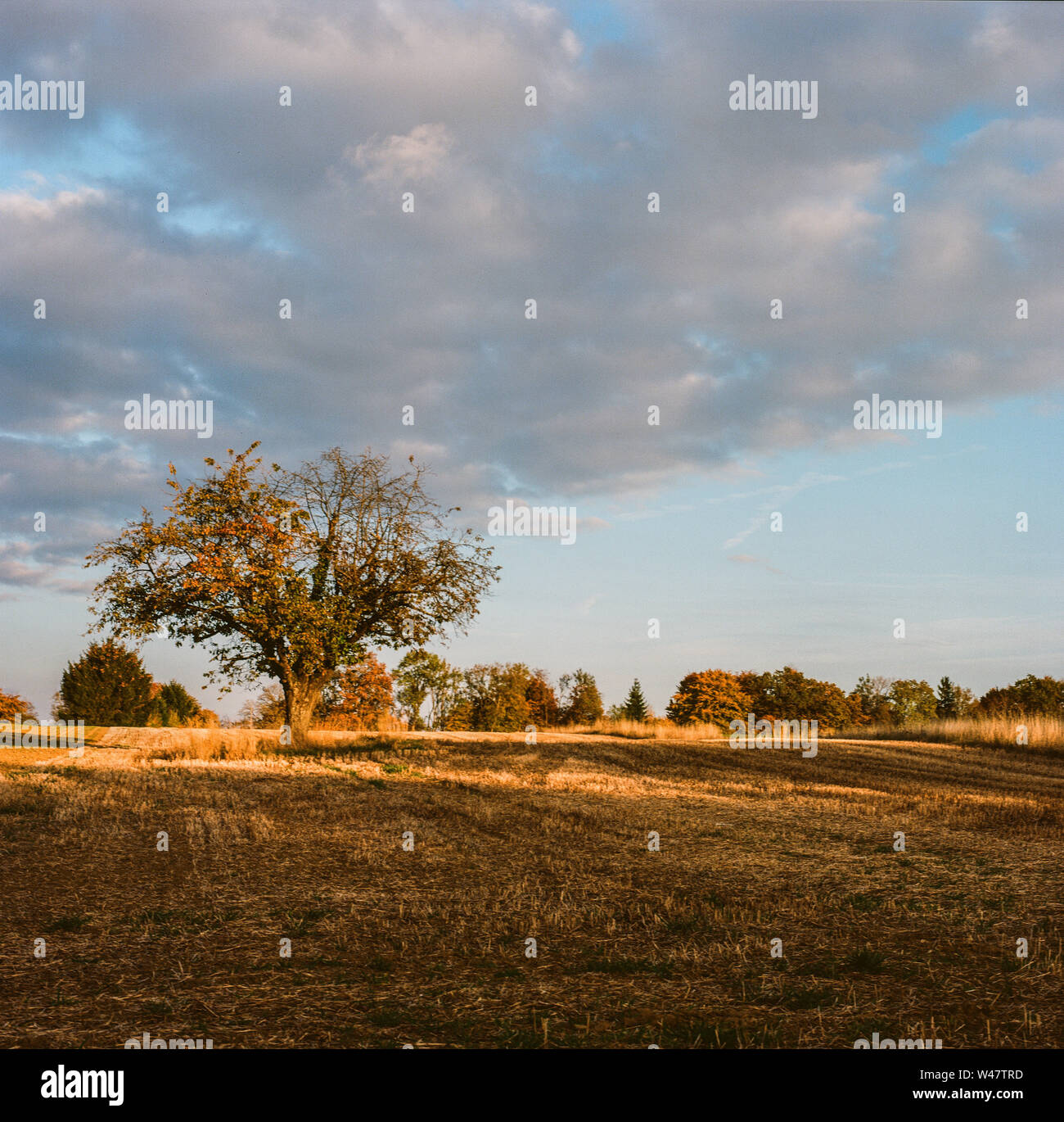 Analoge Fotografie - Landschaft Stockfoto