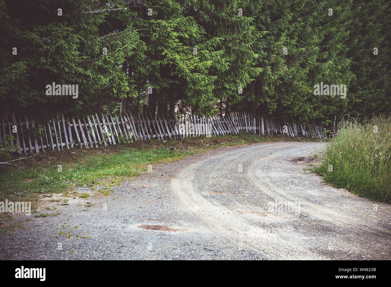 Land straße und Alten rustikalen hölzernen Zaun. Tara National Park. Stockfoto