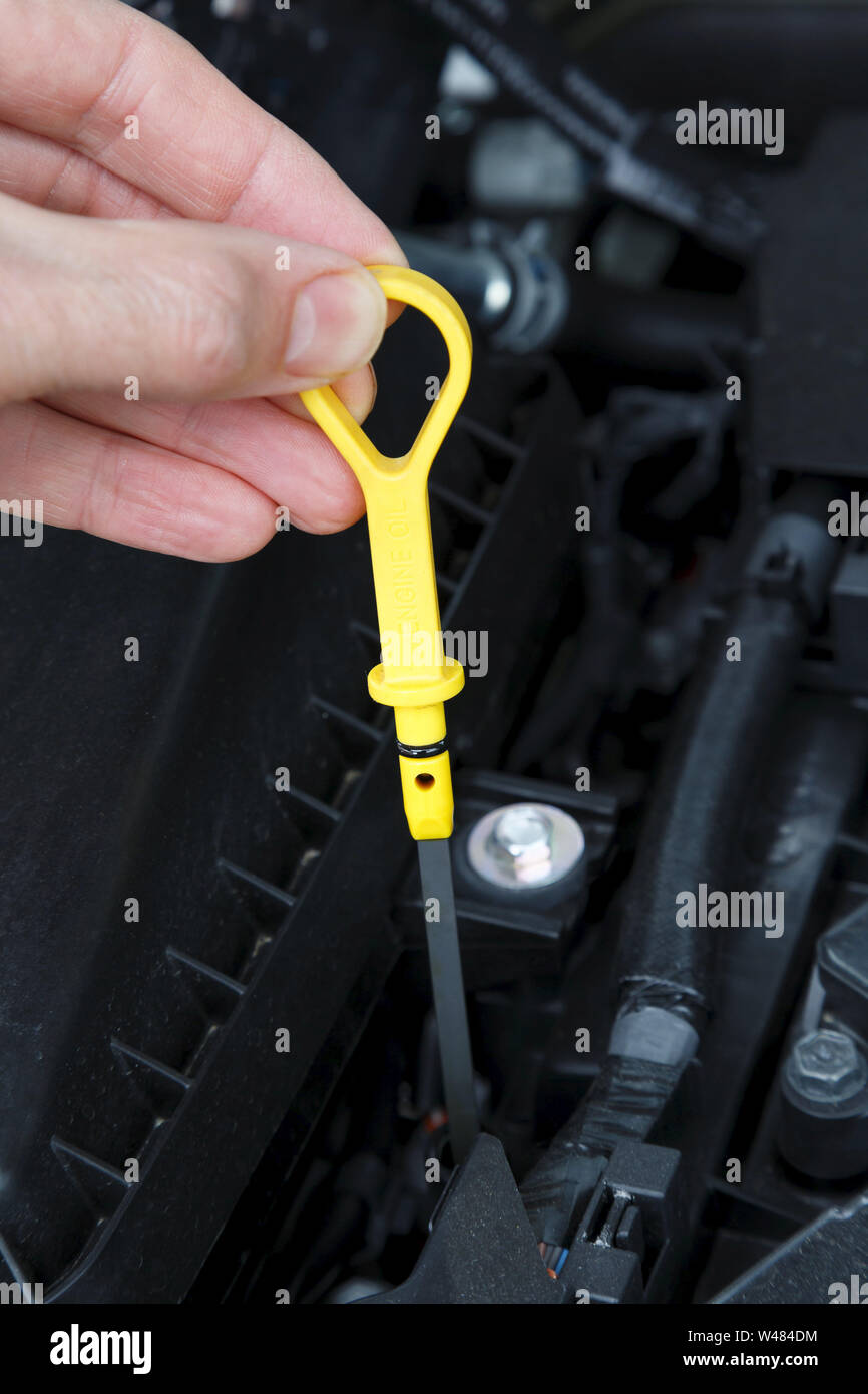Der Ölstand mit dem Messstab in einem Auto Motor. Stockfoto