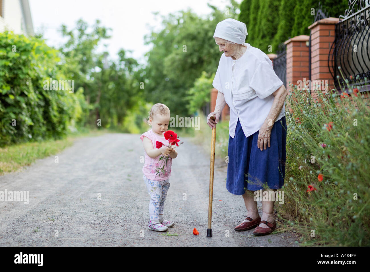 Urgroßmutter und Kleinkind Mädchen Blumen pflücken draußen in der Landschaft Stockfoto