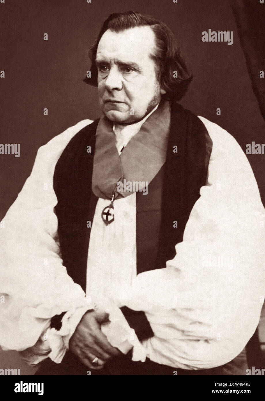 Samuel Wilberforce FRS (1805-1873), Sohn von Anti-Sklaverei Aktivist William Wilberforce, war einer der größten öffentlichen Redner seiner Zeit und ist wahrscheinlich am besten heute für seine Opposition gegen Charles Darwins Theorie der Evolution bekannt, insbesondere für seine Rolle in der Debatte Thomas Henry Huxley auf das Thema in einem berühmten 1860 Debatte an der Oxford University Museum of Natural History. Stockfoto