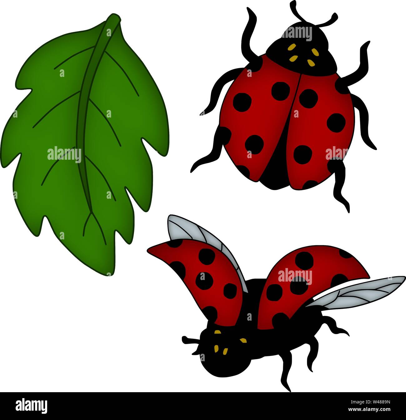Süße Marienkäfer Vector Farbe Cartoon Lady Bug Abbildung Stock Vektor