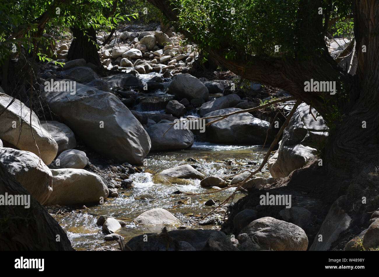 Ein Bach in den Bergen Nuratau, zentrale Usbekistan Stockfoto