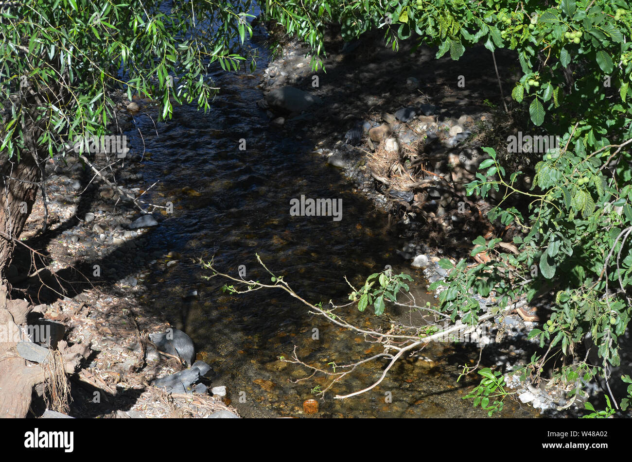 Ein Bach in den Bergen Nuratau, zentrale Usbekistan Stockfoto