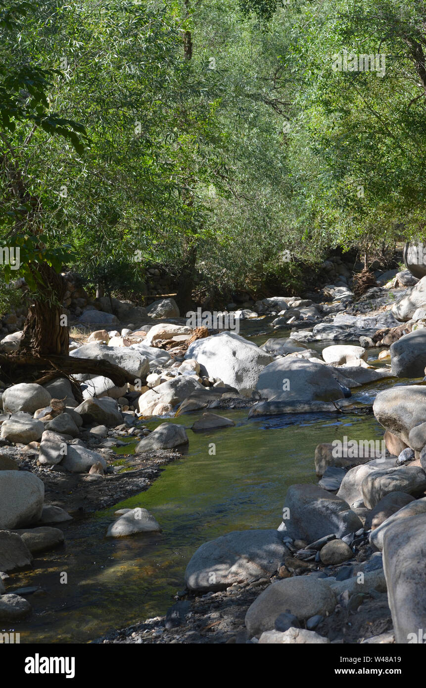 Ein Bach in den Bergen Nuratau, zentrale Usbekistan Stockfoto