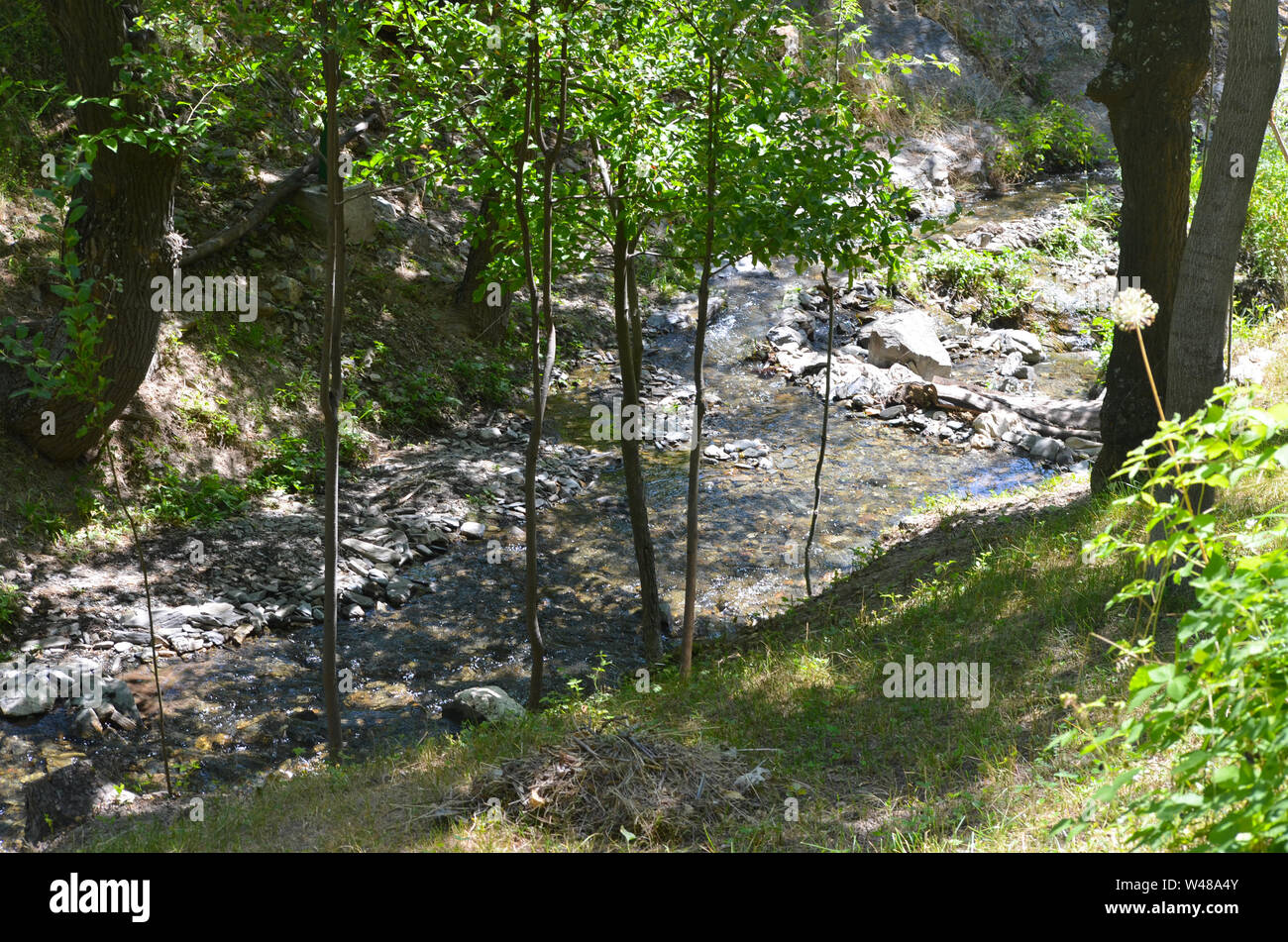 Ein Bach in den Bergen Nuratau, zentrale Usbekistan Stockfoto