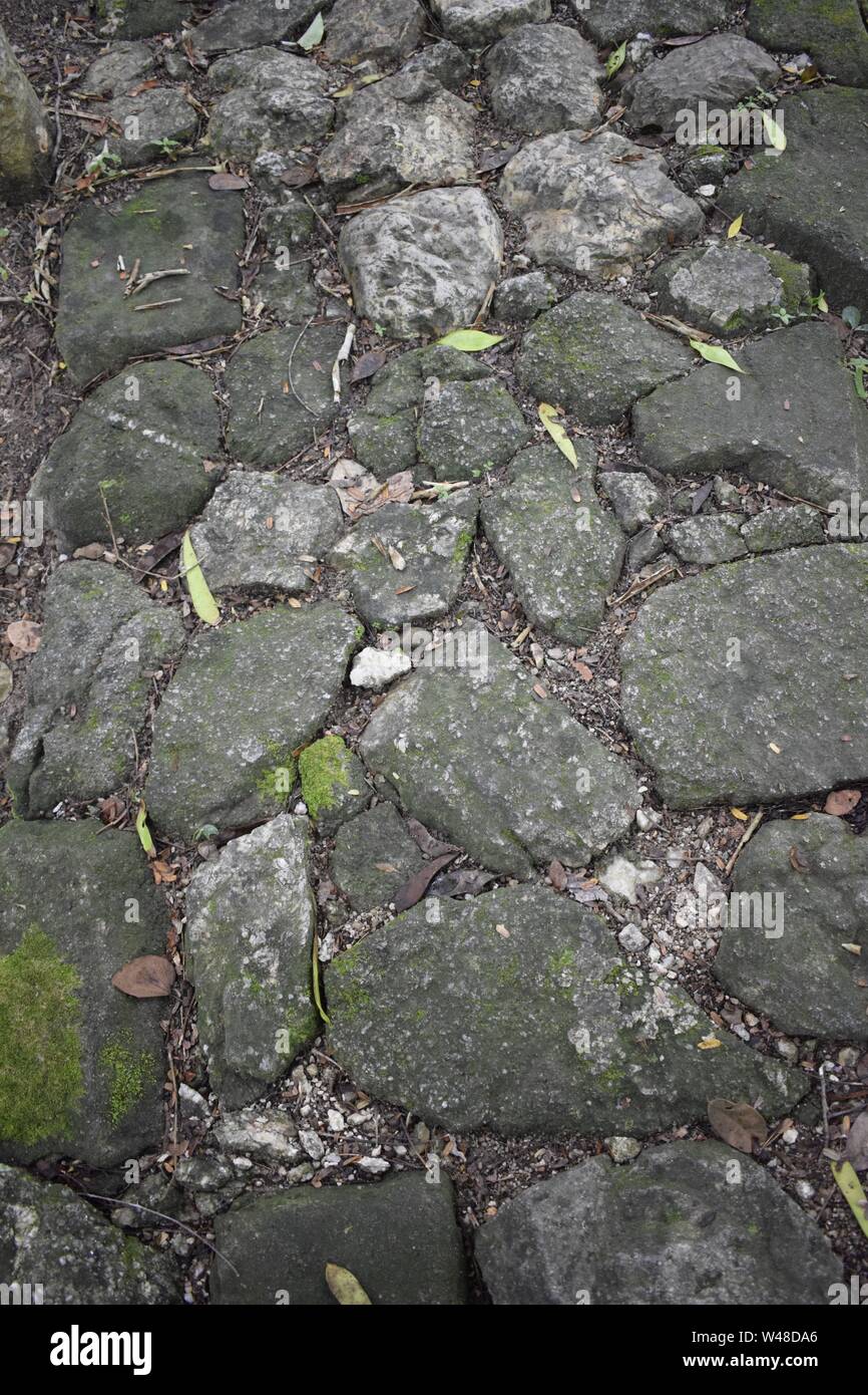 Moosige Oberfläche der Steinboden, Straße im Dschungel Stockfoto