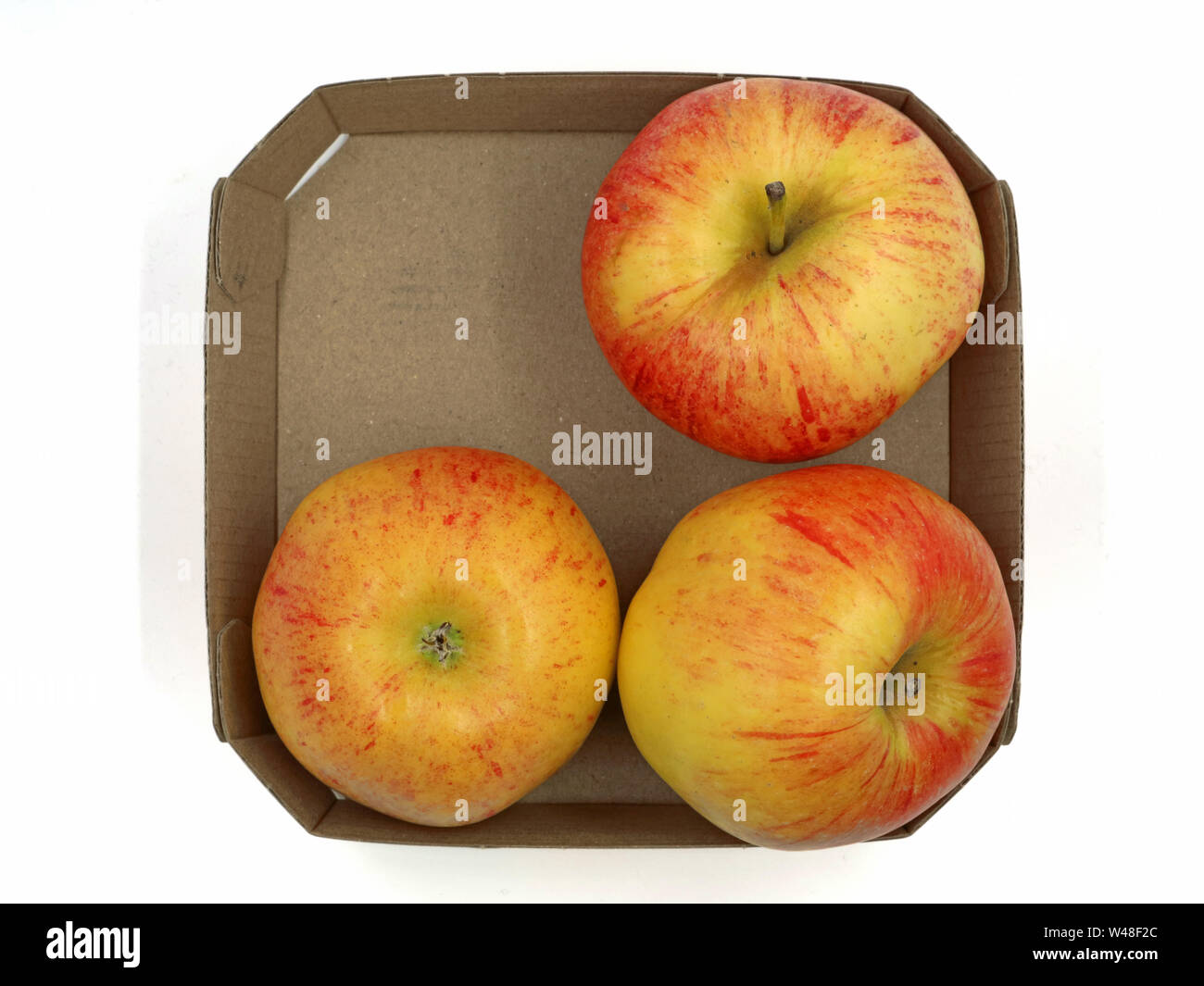 Blick von oben auf die drei roten Apple im Karton auf weißem Hintergrund Stockfoto