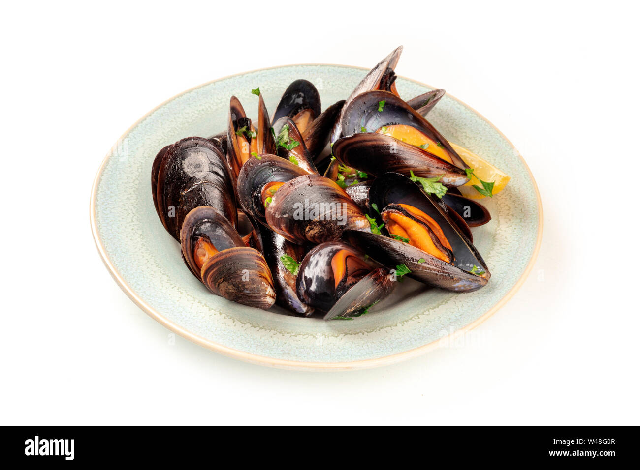 Marinara Muscheln, Moules Mariniere, auf weißem Hintergrund Stockfoto