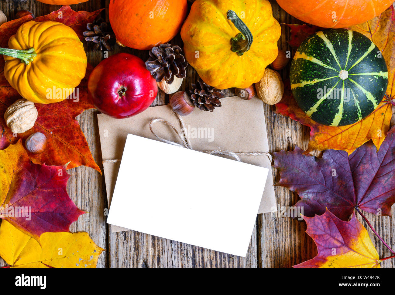Leere Grußkarte und Umschlag mit Thanksgiving Herbst Hintergrund im Rahmen des geernteten Kürbisse, Äpfel, Nüsse und Ahornblätter auf rustikalem Holz Stockfoto