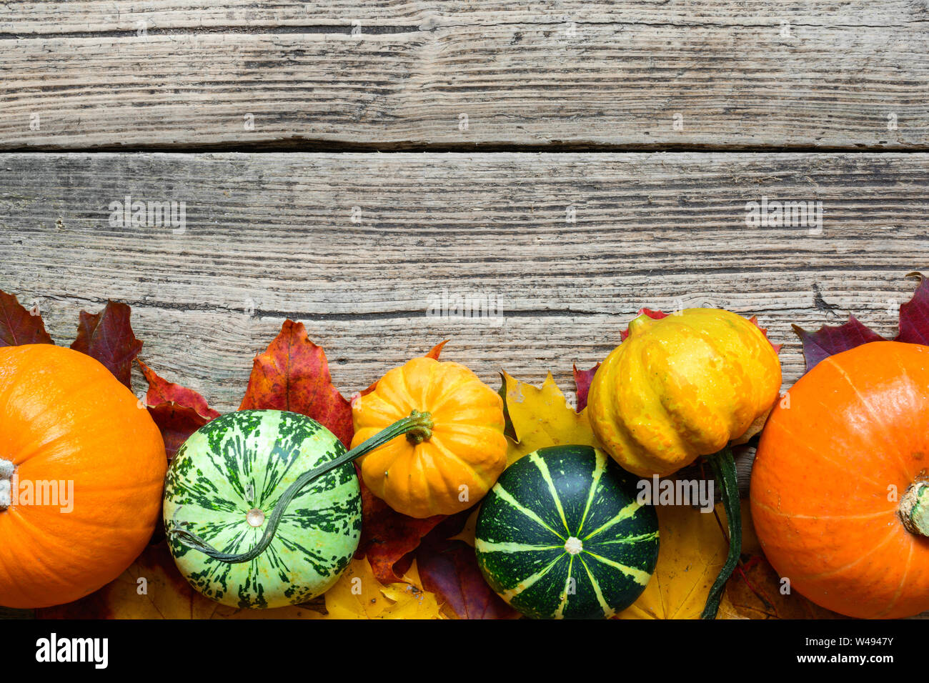 Thanksgiving Herbst Hintergrund mit Geernteten Kürbisse, Äpfel, Nüsse und Ahornblätter auf rustikalen Holztisch. Ansicht von oben mit der Kopie Raum Stockfoto