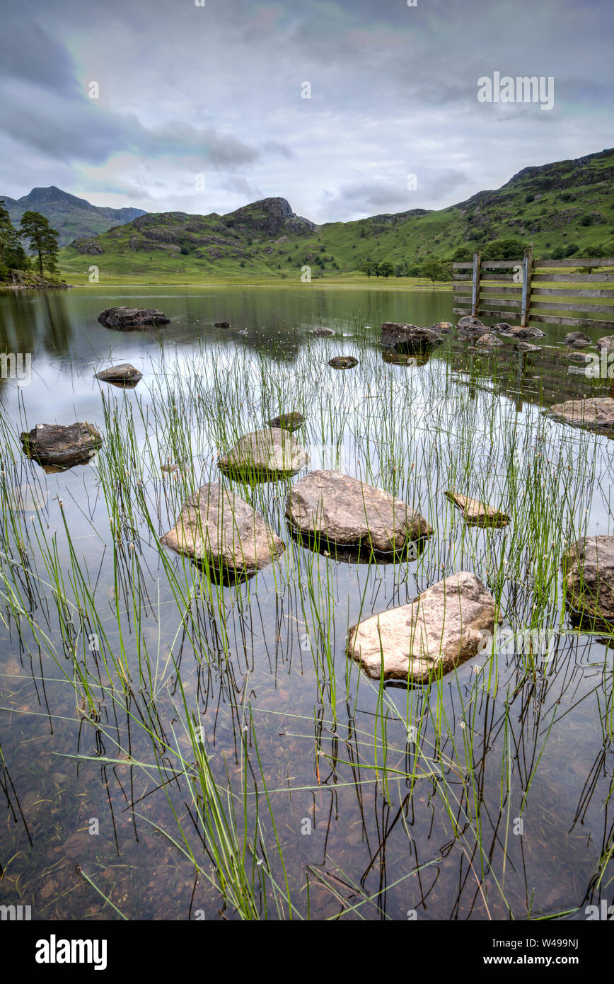 Blea Tarn Lake District nach Langdale Pikes Stockfoto